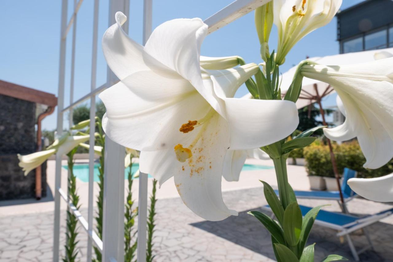 Lux Suite Sicily Маскалучия Екстериор снимка